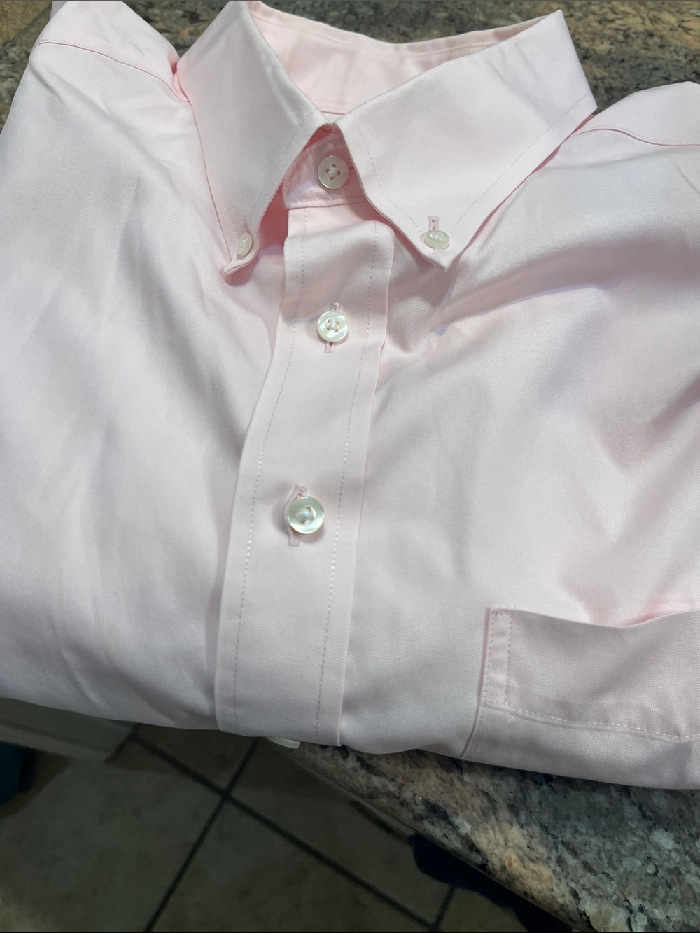 Roundtree & Yorke Pale Pink Button-Down Dress Shirt